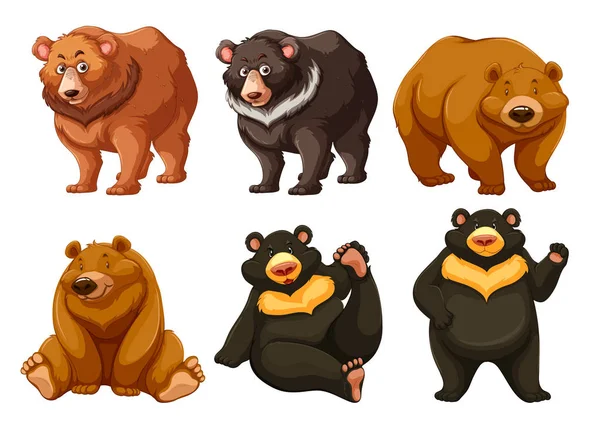 Ensemble d'ours mignons — Image vectorielle