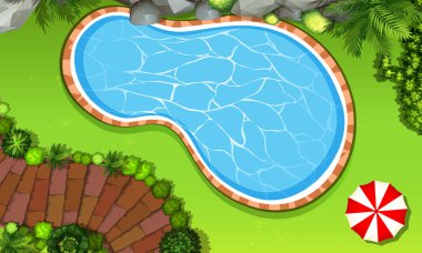 Bahçenin havadan görünümü