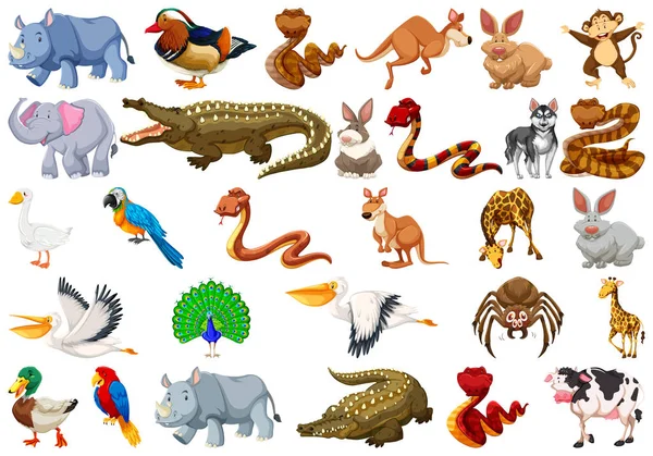 Set of animal character — Stock Vector