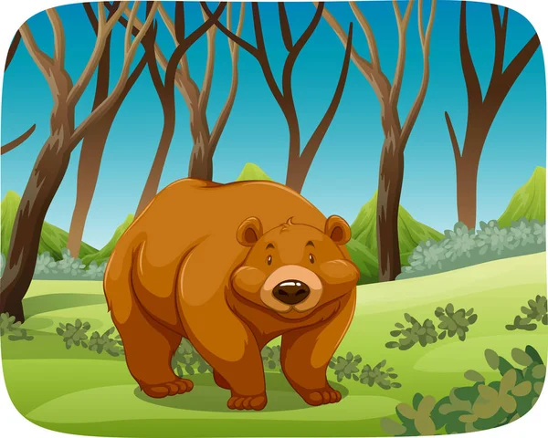 Brown bear in nature scene — Stock Vector