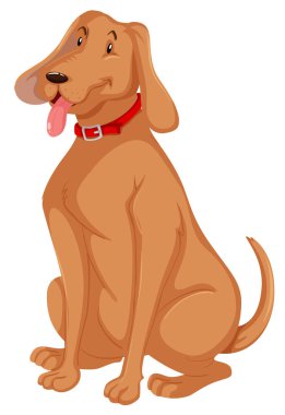 Beyaz arka planda bir köpek