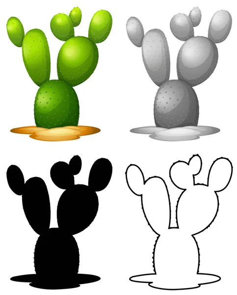 Ensemble de cactus nature — Image vectorielle