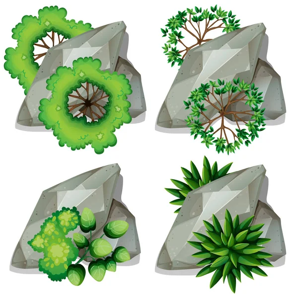 Set batuan alam dan tanaman - Stok Vektor
