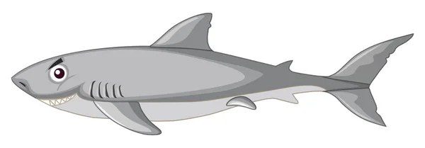 A shark on white background — Stock Vector