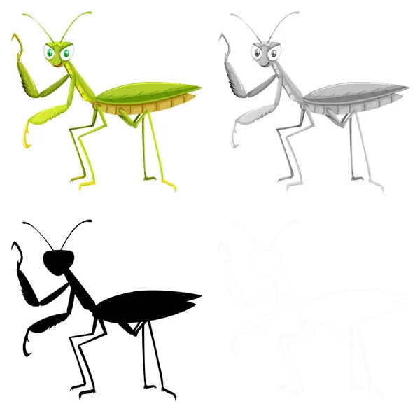 Ensemble de différentes sauterelles — Image vectorielle