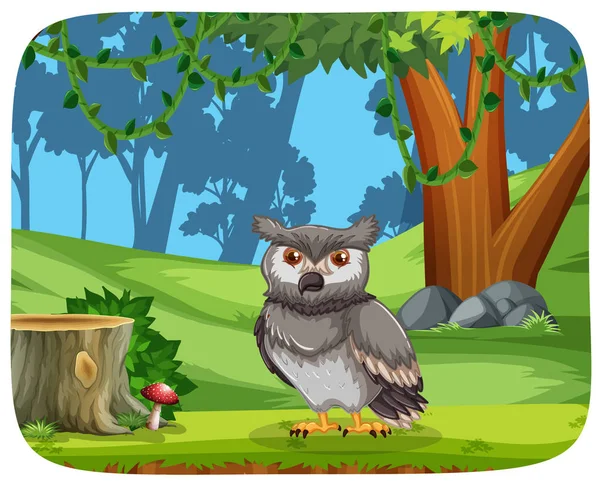 Owl in the jungle — Stock Vector