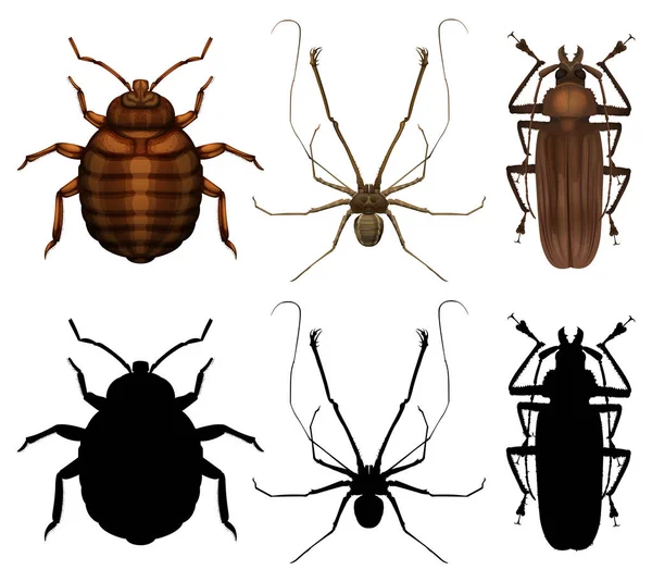 Set of many insect — Stock Vector
