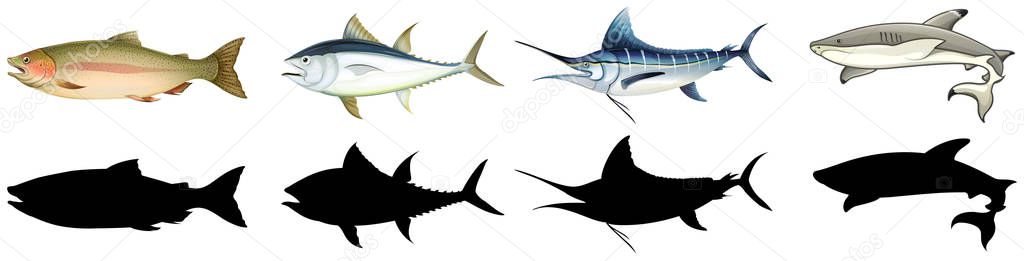 Set of different fish