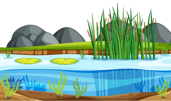 자연 연못 풍경 — 스톡 벡터