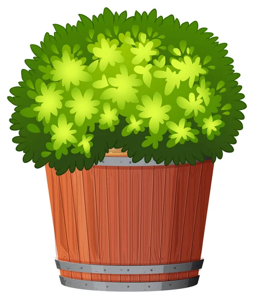 Una planta en la olla — Vector de stock