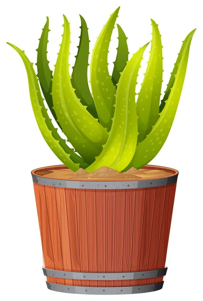 An aloe vera plant in the pot — Stock Vector