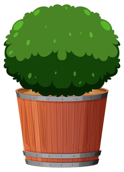 Een plant in de pot — Stockvector