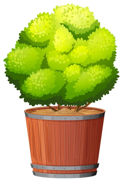 Una planta en la olla — Vector de stock