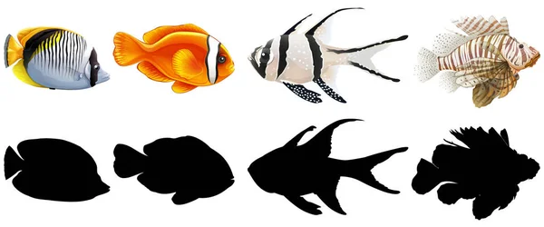 Conjunto de peixes de água salgada — Vetor de Stock