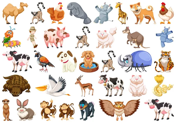 Ensemble de différents animaux ensemble — Image vectorielle