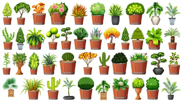Ensemble de plantes en pot — Image vectorielle