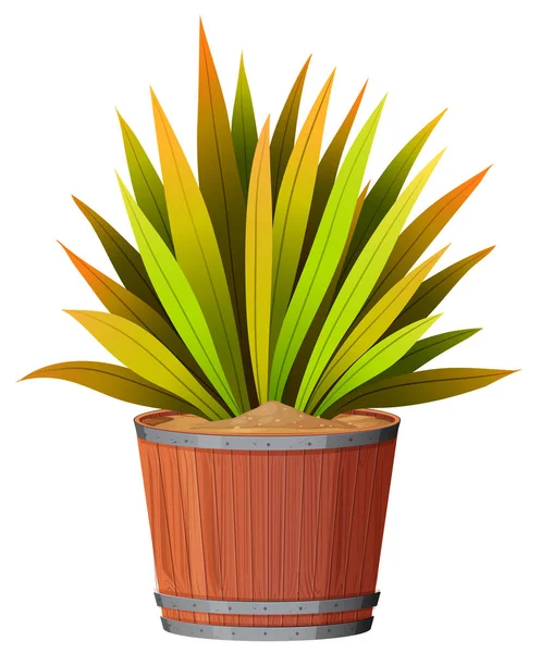 A plant in teh pot — Stock Vector