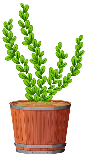 Fern in plant pot — Stockvector