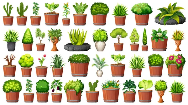 Set de plante diferite în ghivece — Vector de stoc