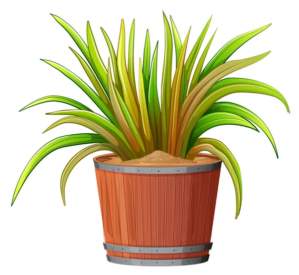 Plant in wooden pot — Stock Vector