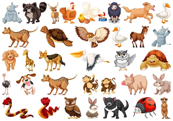 Conjunto de caracteres animais —  Vetores de Stock