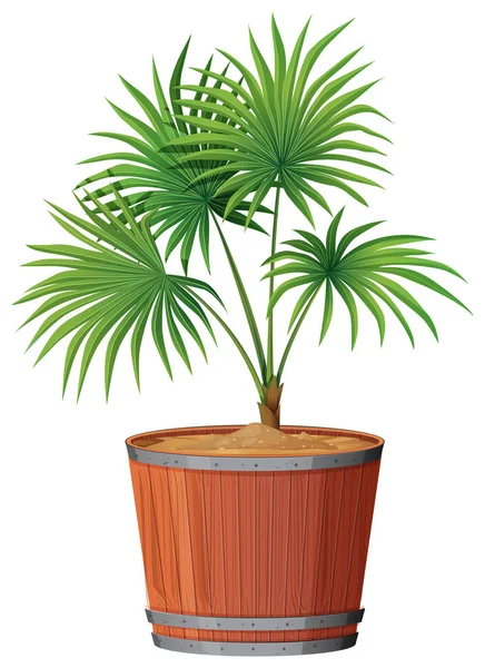 Plant in Barrell pot — Stockvector