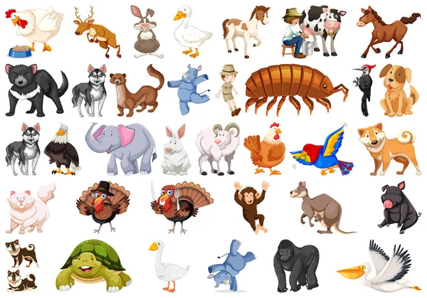 Set of different animals — Stock Vector
