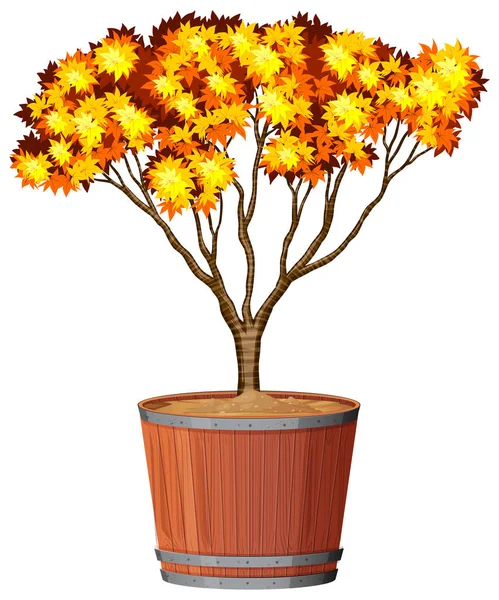 Árvore em vaso planta — Vetor de Stock