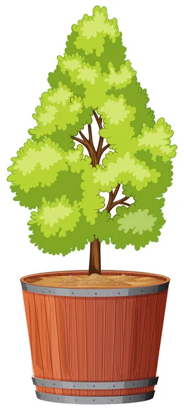 Baum in Topfpflanze — Stockvektor