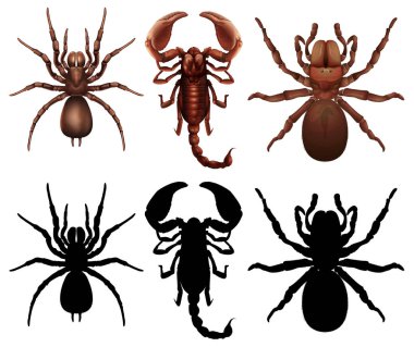 Set of different bugs clipart