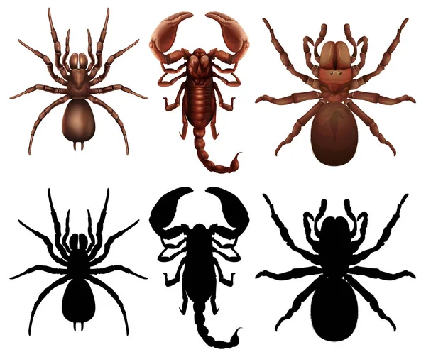 Set of different bugs — Stock Vector