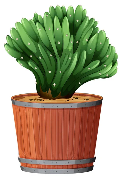 Plant in barrel pot — Stock Vector