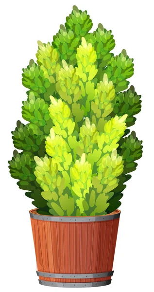 Plant in pot met geïsoleerde bodem — Stockvector