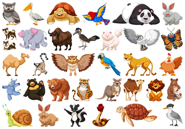 Enorme ensemble animal avec ours, rhinocéros, lapin, lion, panda, éléphant — Image vectorielle