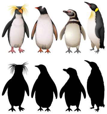 Penguen siluet, renk ve anahat sürümü