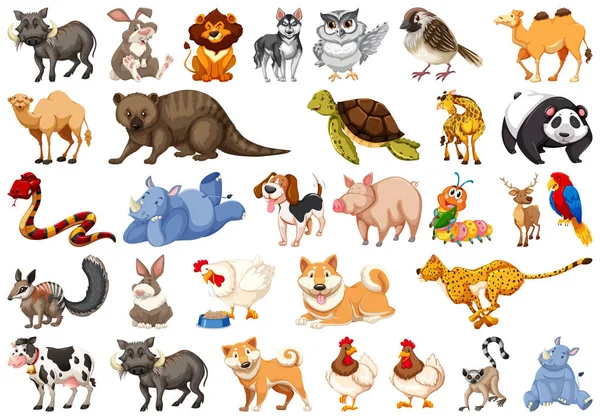 Diverso conjunto de animales aislados en blanco — Vector de stock