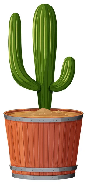 Planta de maceta con hojas verdes sobre un fondo blanco aislado — Vector de stock