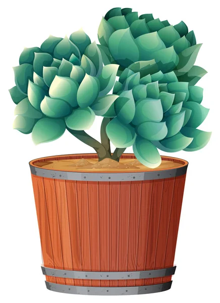 Plant in pot with soil isolated — Stock Vector