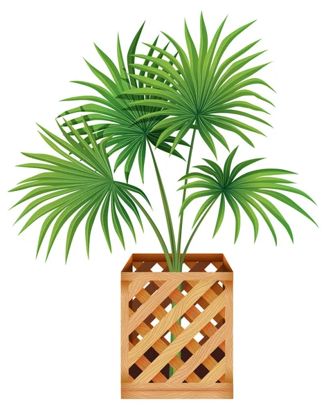 Planta en maceta con suelo aislado — Vector de stock