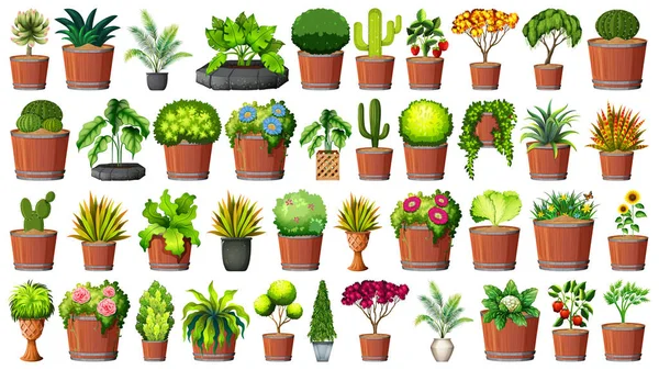 Collection of potted plants on white — Stock Vector