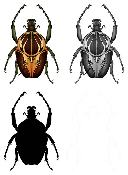 Silhouette, couleur et contour — Image vectorielle