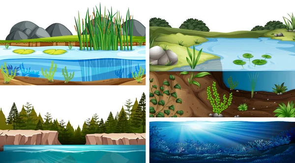 Ecosistemas acuáticos con estanque, lago, río — Vector de stock