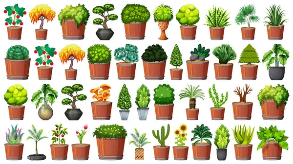 Collection de plantes en pot sur blanc — Image vectorielle