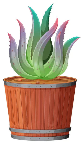 Plant in pot met geïsoleerde bodem — Stockvector