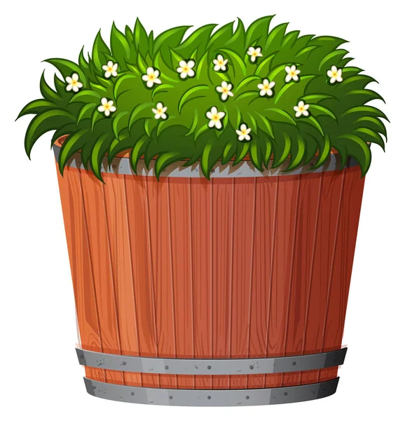 Hrnec rostlina se zelenými listy na izolovaném bílém pozadí — Stockový vektor