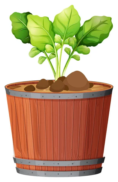 Planta de maceta con hojas verdes sobre un fondo blanco aislado — Vector de stock