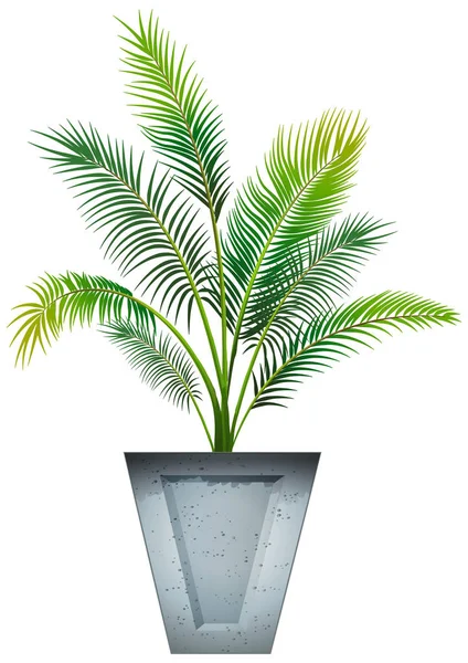 Plant in pot with soil isolated — Stock Vector