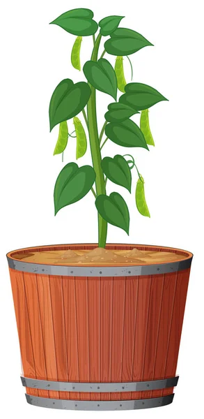 Plante en pot avec terre isolée — Image vectorielle