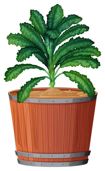 Plant in pot met geïsoleerde bodem — Stockvector