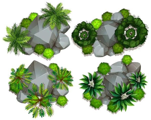 植物和岩石的鸟瞰图 — 图库矢量图片